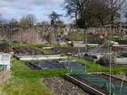 View of allotments